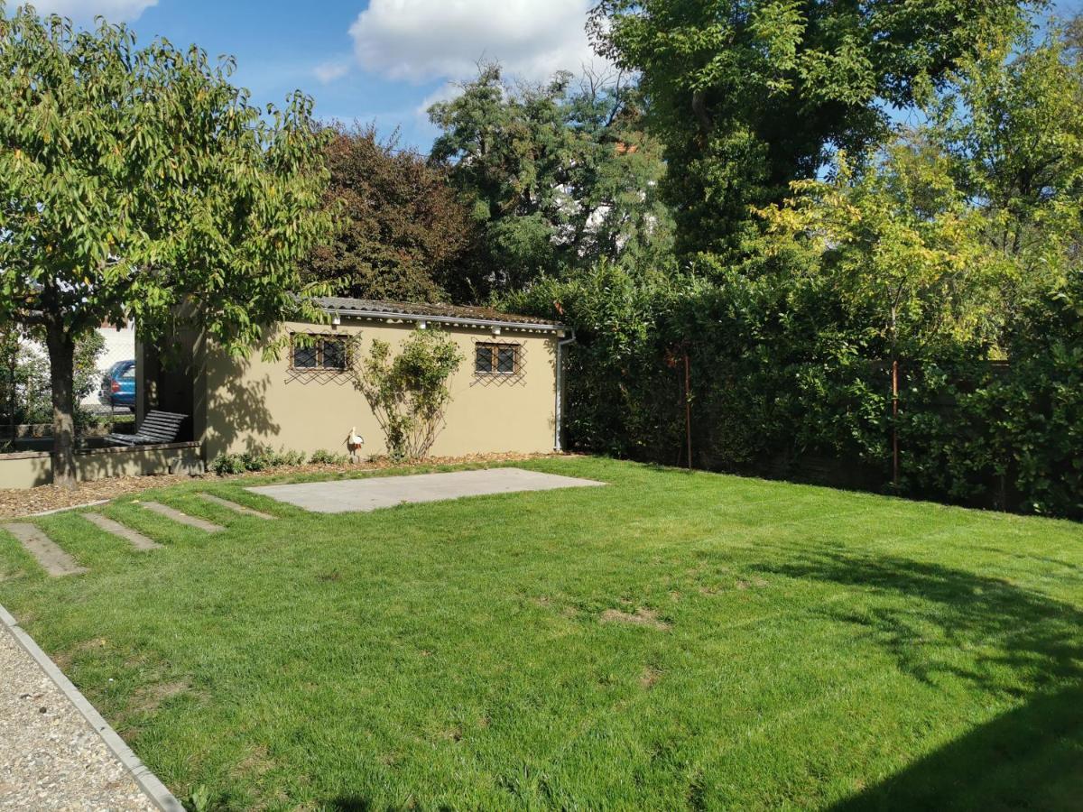La Maison De Lucie - Grande Maison Ideale En Famille Ou Entre Amis - Jardin - Parking Gratuit Sélestat Esterno foto