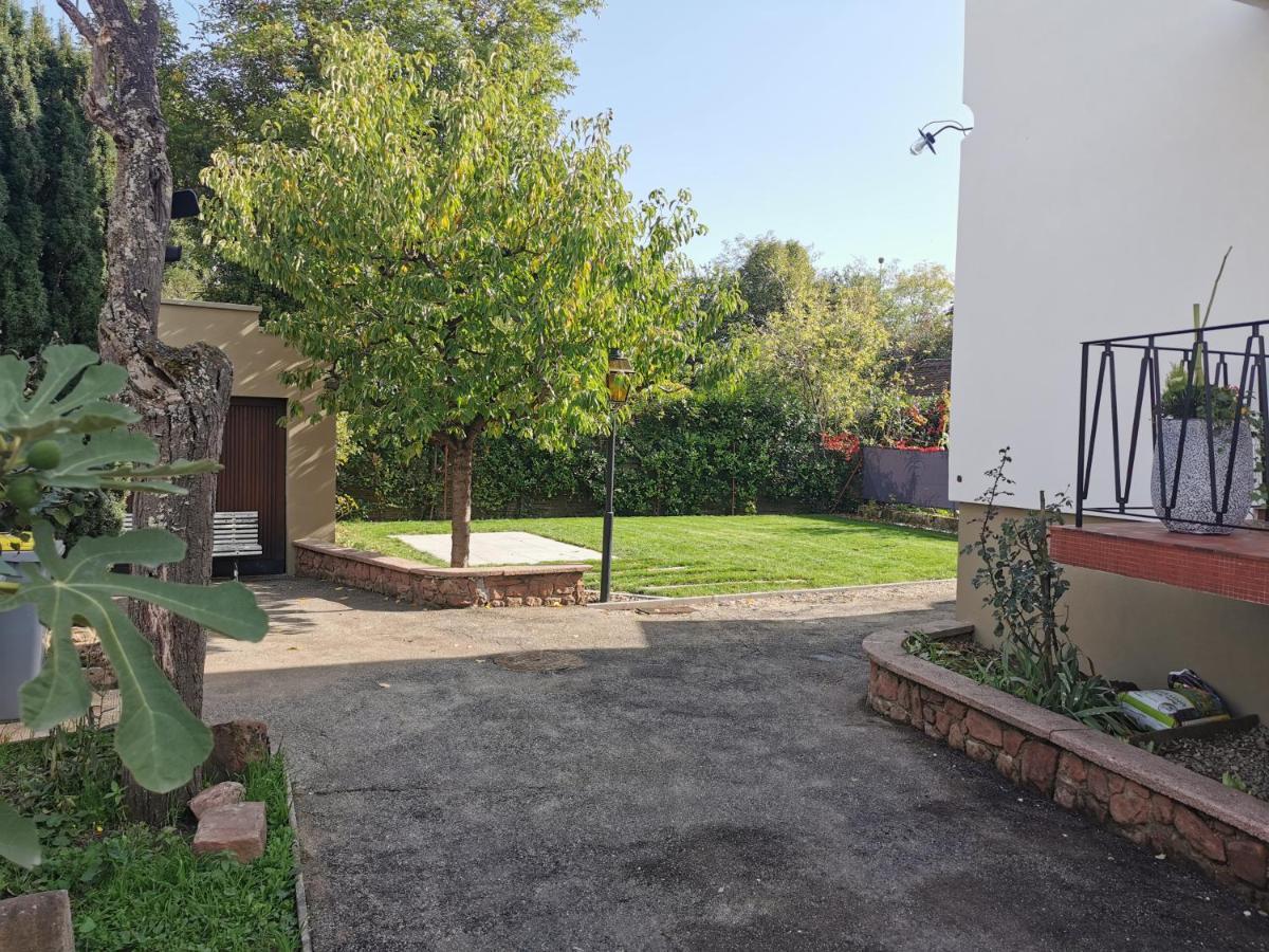La Maison De Lucie - Grande Maison Ideale En Famille Ou Entre Amis - Jardin - Parking Gratuit Sélestat Esterno foto