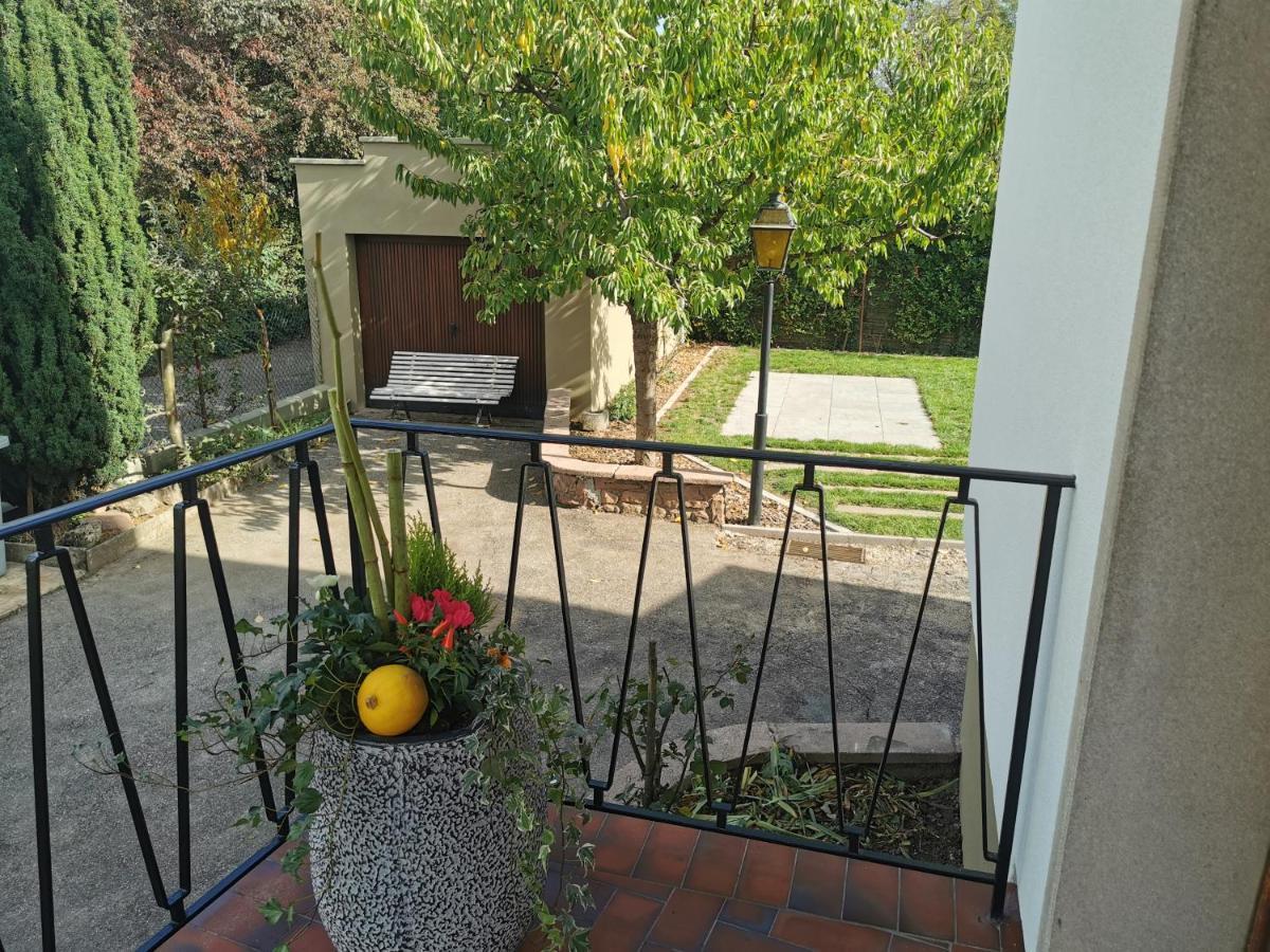 La Maison De Lucie - Grande Maison Ideale En Famille Ou Entre Amis - Jardin - Parking Gratuit Sélestat Esterno foto